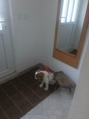 Holiday Home Gandalj_2 Lokva Rogoznica Buitenkant foto